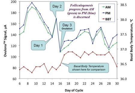 Ovulona profile with fertile days and BBT - e2 detect progress